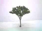 ʐ^10