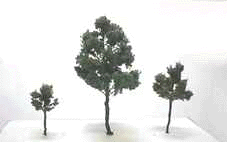 ʐ^11